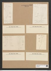 Diatomeae indet. (de-Toni-Nr.: Species 2969) Zeichnungen Sammlung Grunow Nr. 6059 (NHMW-BOT-W0374570)